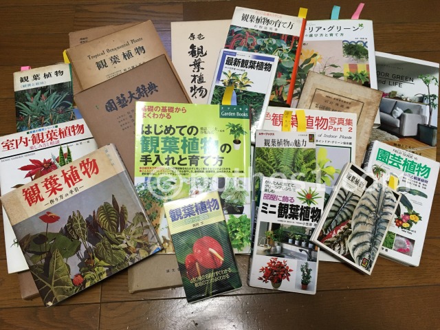 たくさんの観葉植物図鑑