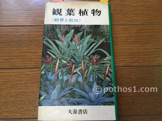 1965年(昭和40年)　観葉植物【鑑賞と栽培】