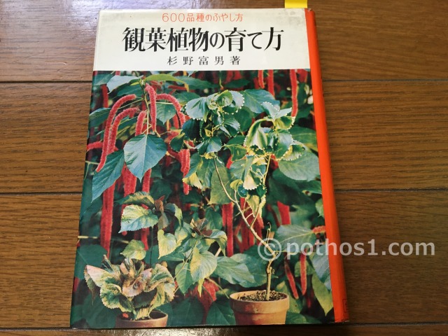 1967年(昭和42年)　観葉植物の育て方