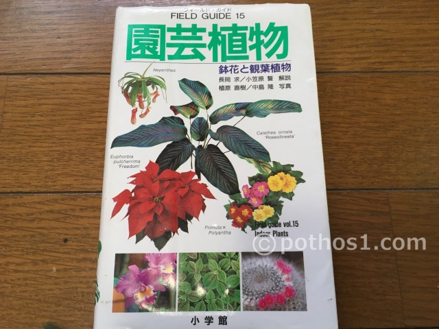 1997年(平成9年)　園芸植物　鉢花と観葉植物