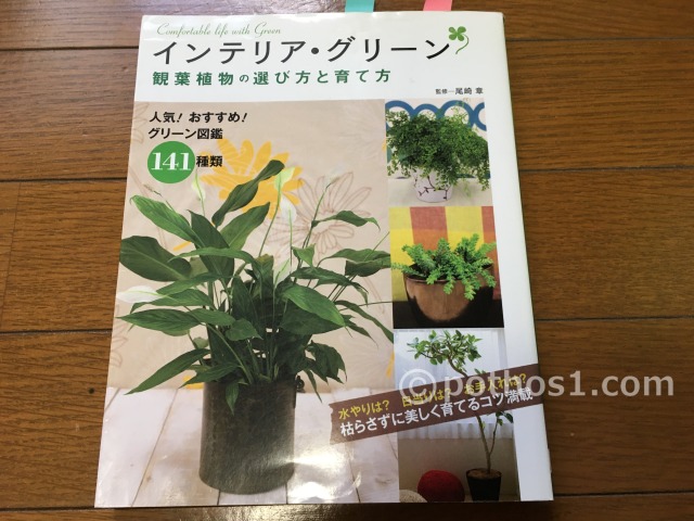 2013年(平成25年)　インドア・グリーン 観葉植物の選び方と育て方